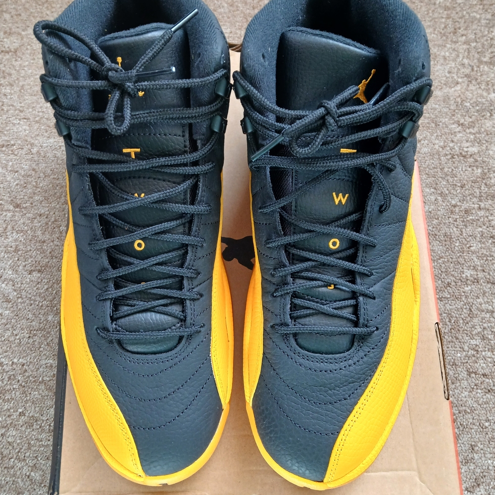 Size 10 Air Jordan 12 Retro University Gold